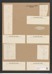 Diatomeae indet. Zeichnungen Sammlung Grunow Nr. 1810 (NHMW-BOT-W0368724)